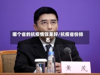 哪个省的抗疫情效果好/抗疫省份排名