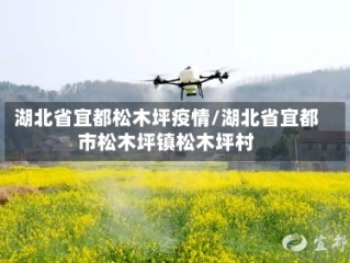 湖北省宜都松木坪疫情/湖北省宜都市松木坪镇松木坪村