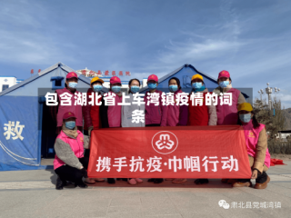 包含湖北省上车湾镇疫情的词条