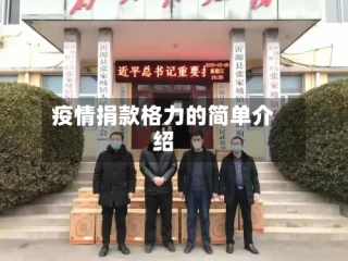 疫情捐款格力的简单介绍