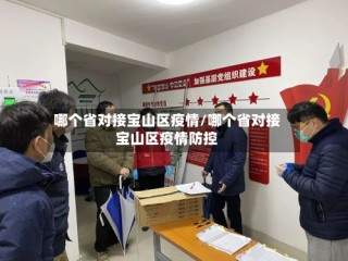 哪个省对接宝山区疫情/哪个省对接宝山区疫情防控