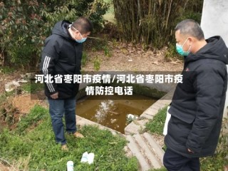 河北省枣阳市疫情/河北省枣阳市疫情防控电话