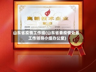 山东省疫情工作组(山东省委疫情处置工作领导小组办公室)