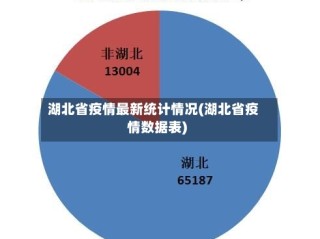 湖北省疫情最新统计情况(湖北省疫情数据表)