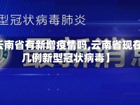 【云南省有新增疫情吗,云南省现在有几例新型冠状病毒】