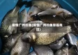 疫情广州钓鱼(疫情广州钓鱼举报电话)