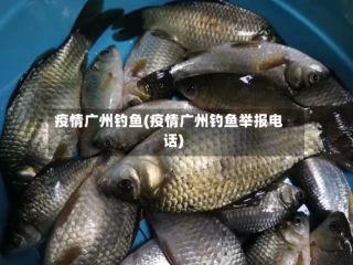 疫情广州钓鱼(疫情广州钓鱼举报电话)