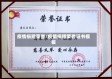 疫情捐赠荣誉/疫情捐赠荣誉证书模板