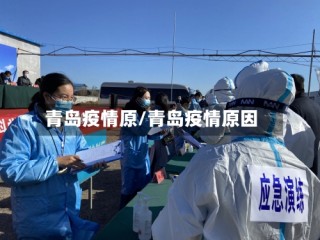 青岛疫情原/青岛疫情原因