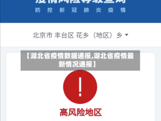 【湖北省疫情数据通报,湖北省疫情最新情况通报】