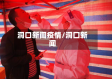 洞口新闻疫情/洞囗新闻