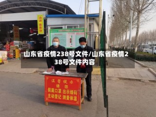 山东省疫情238号文件/山东省疫情238号文件内容