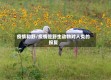 疫情和野/疫情是野生动物对人类的报复