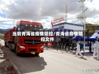 当前青海省疫情防控/青海省疫情防控文件