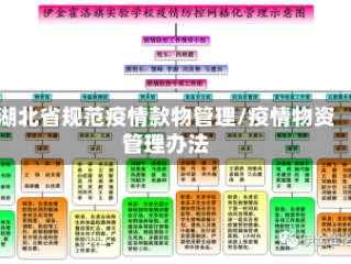 湖北省规范疫情款物管理/疫情物资管理办法