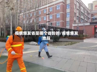 疫情爆发省是哪个省份的/疫情爆发地段