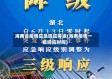 海南省疫情应急响应等级(海南疫情一级响应时间)