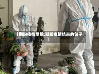 【期盼疫情尽散,期盼疫情结束的句子】