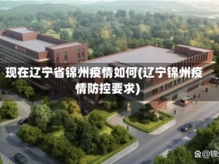 现在辽宁省锦州疫情如何(辽宁锦州疫情防控要求)