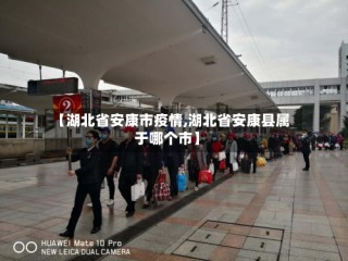 【湖北省安康市疫情,湖北省安康县属于哪个市】
