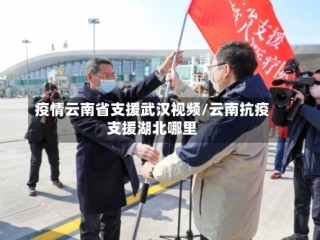 疫情云南省支援武汉视频/云南抗疫支援湖北哪里