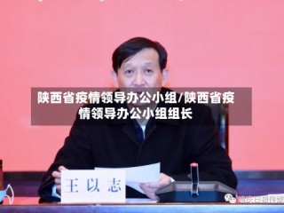 陕西省疫情领导办公小组/陕西省疫情领导办公小组组长