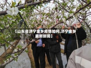 【山东省济宁金乡疫情如何,济宁金乡最新新闻】