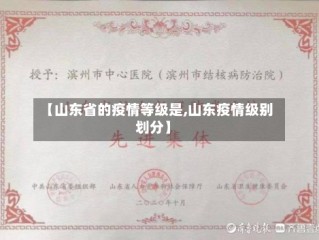 【山东省的疫情等级是,山东疫情级别划分】