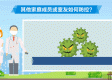 【甘肃省最新疫情通报图,甘肃省最新疫情情况动态】