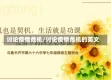 讨论疫情危机/讨论疫情危机的英文