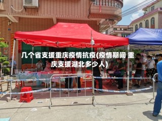 几个省支援重庆疫情抗疫(疫情期间 重庆支援湖北多少人)
