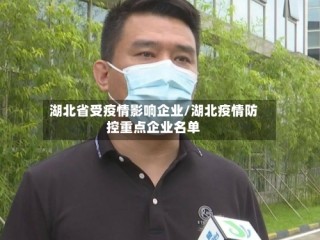 湖北省受疫情影响企业/湖北疫情防控重点企业名单