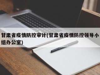 甘肃省疫情防控审计(甘肃省疫情防控领导小组办公室)