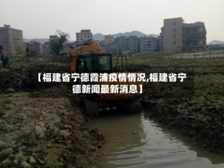 【福建省宁德霞浦疫情情况,福建省宁德新闻最新消息】