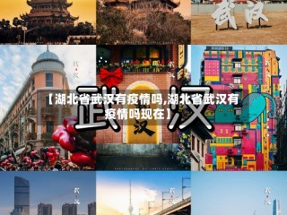 【湖北省武汉有疫情吗,湖北省武汉有疫情吗现在】
