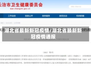 湖北省最新新冠疫情/湖北省最新新冠疫情通报