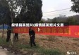 疫情搞笑短片(疫情搞笑短片文案)