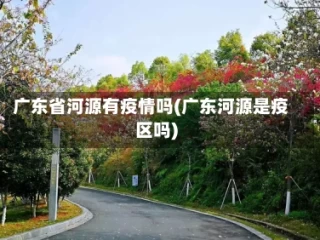 广东省河源有疫情吗(广东河源是疫区吗)