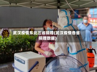 武汉疫情东北三省捐赠(武汉疫情各省捐赠数据)