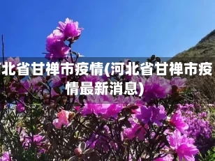 河北省甘禅市疫情(河北省甘禅市疫情最新消息)