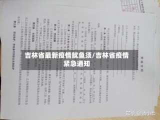 吉林省最新疫情鱿鱼须/吉林省疫情紧急通知
