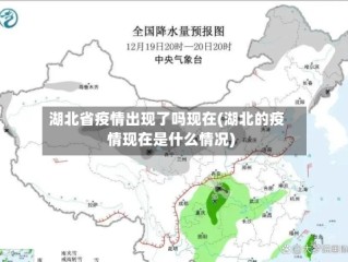 湖北省疫情出现了吗现在(湖北的疫情现在是什么情况)