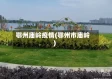鄂州庙岭疫情(鄂州市庙岭)