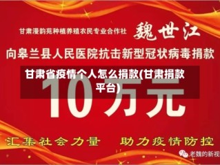 甘肃省疫情个人怎么捐款(甘肃捐款平台)