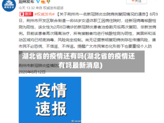 湖北省的疫情还有吗(湖北省的疫情还有吗最新消息)