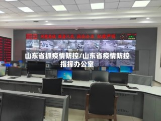 山东省抓疫情防控/山东省疫情防控指挥办公室