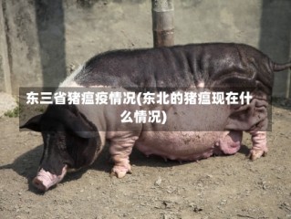东三省猪瘟疫情况(东北的猪瘟现在什么情况)