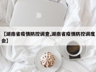 【湖南省疫情防控调查,湖南省疫情防控调度会】