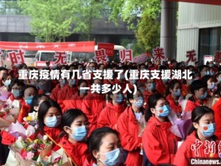 重庆疫情有几省支援了(重庆支援湖北一共多少人)
