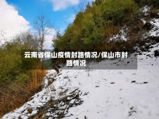 云南省保山疫情封路情况/保山市封路情况